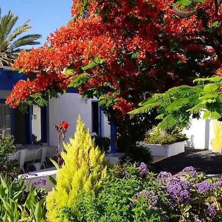 Villa Timfay *